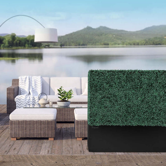 hedge wall outdoor beside lake