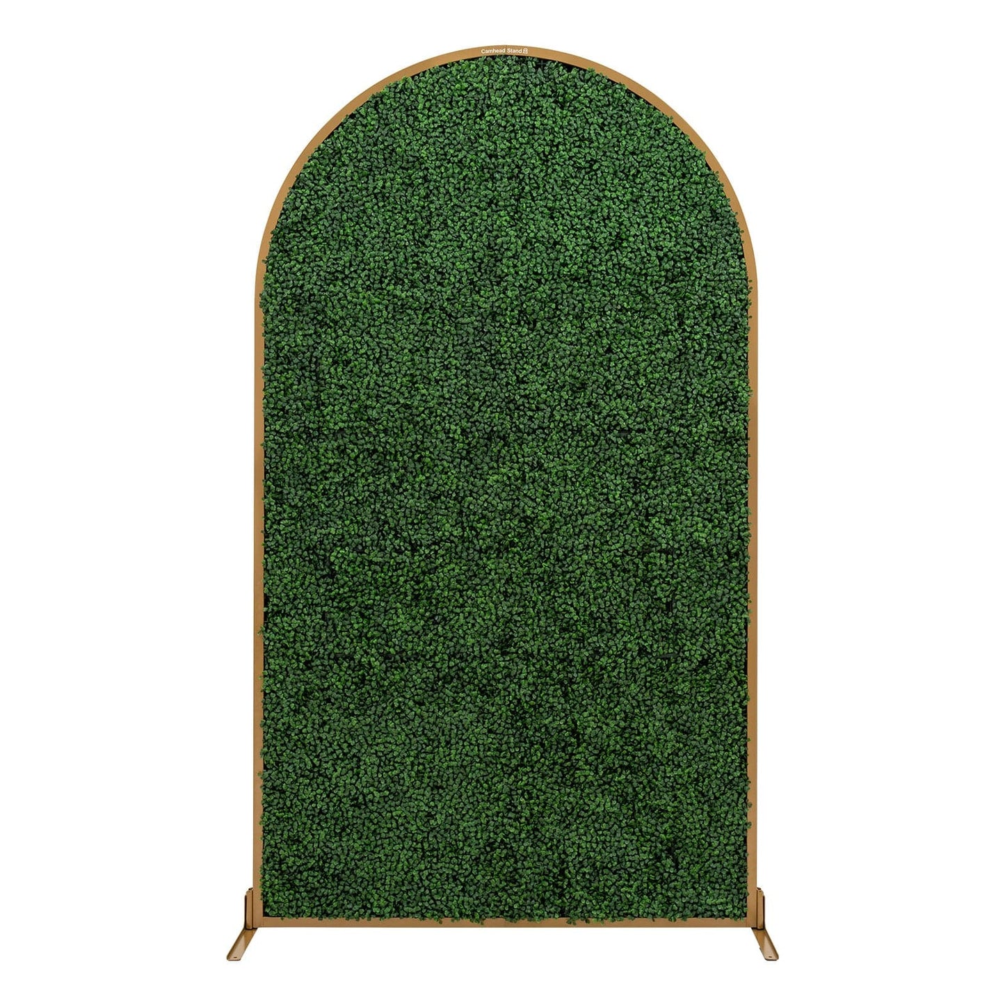 Camhead™ Arch Boxwood Backdrop Stand