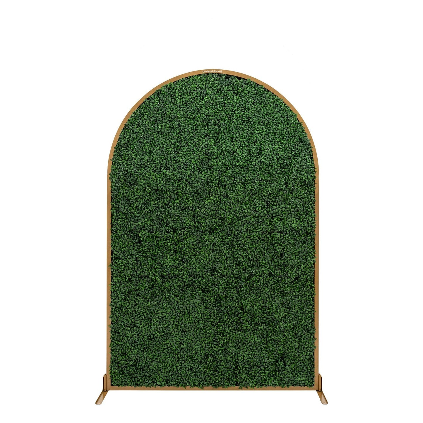 Camhead™ Arch Boxwood Backdrop Stand