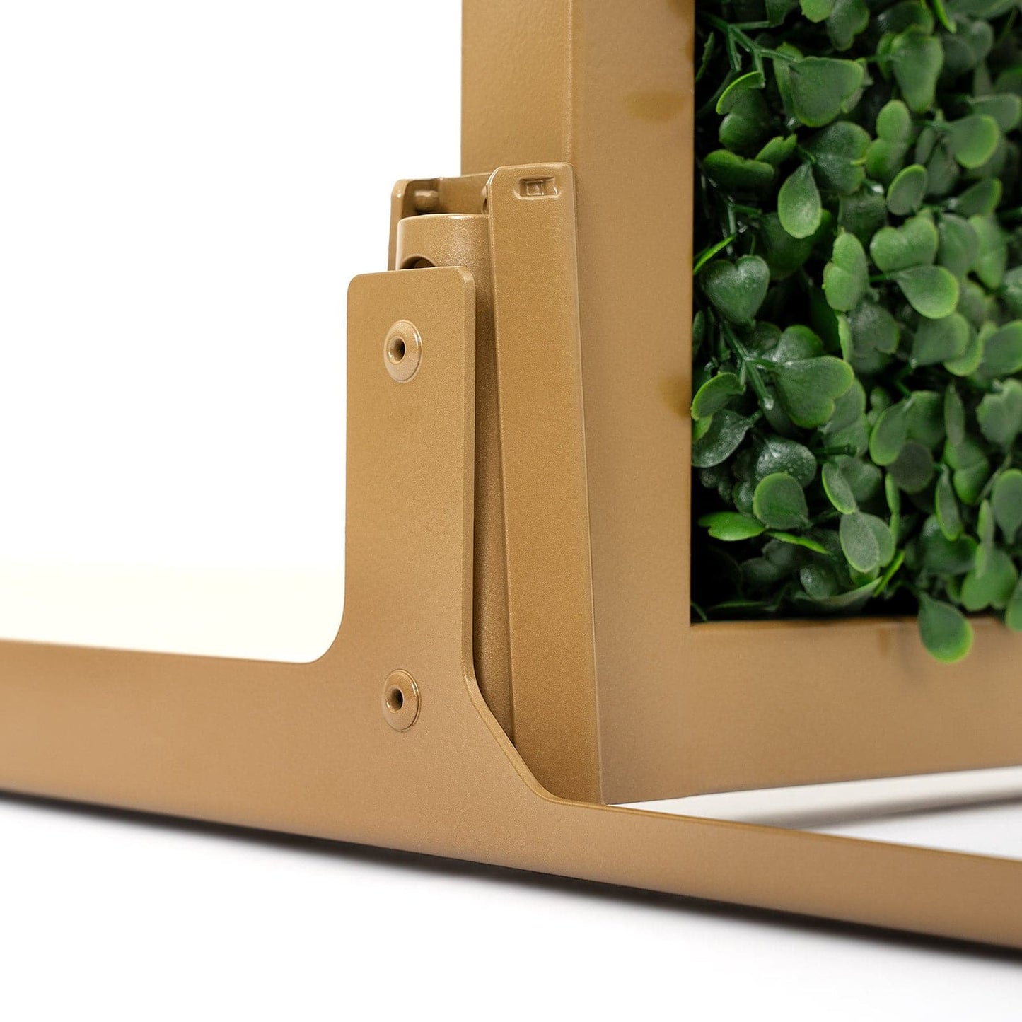 Camhead™ Arch Boxwood Backdrop Stand