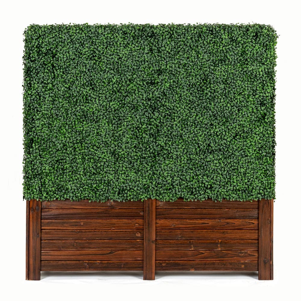 Front of Artigwall's artificial boxwood hedge in wood planter