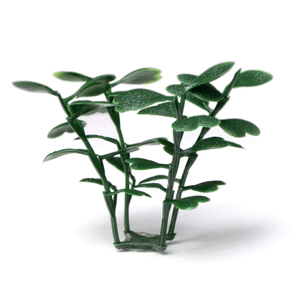 Artigwall artificial boxwood roll panel leaf detail