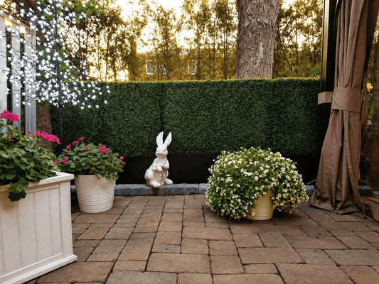 How Do You Block a Neighbor's View of My Yard?