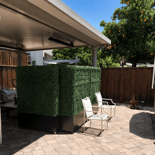 Why Hedge Walls Are One of the Best Fencing Ideas for Privacy