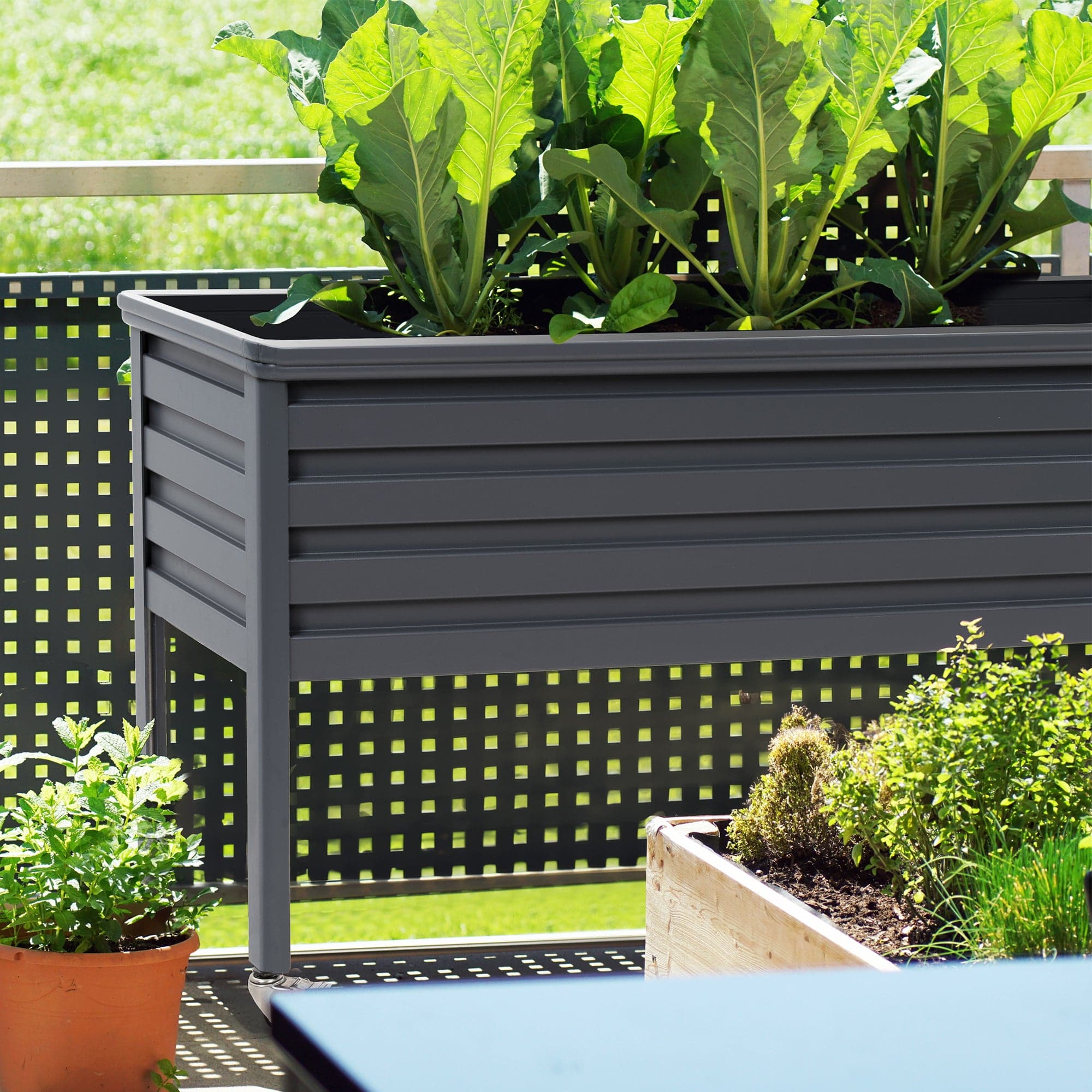 4ft aluminum raised garden bed grey for vegetables