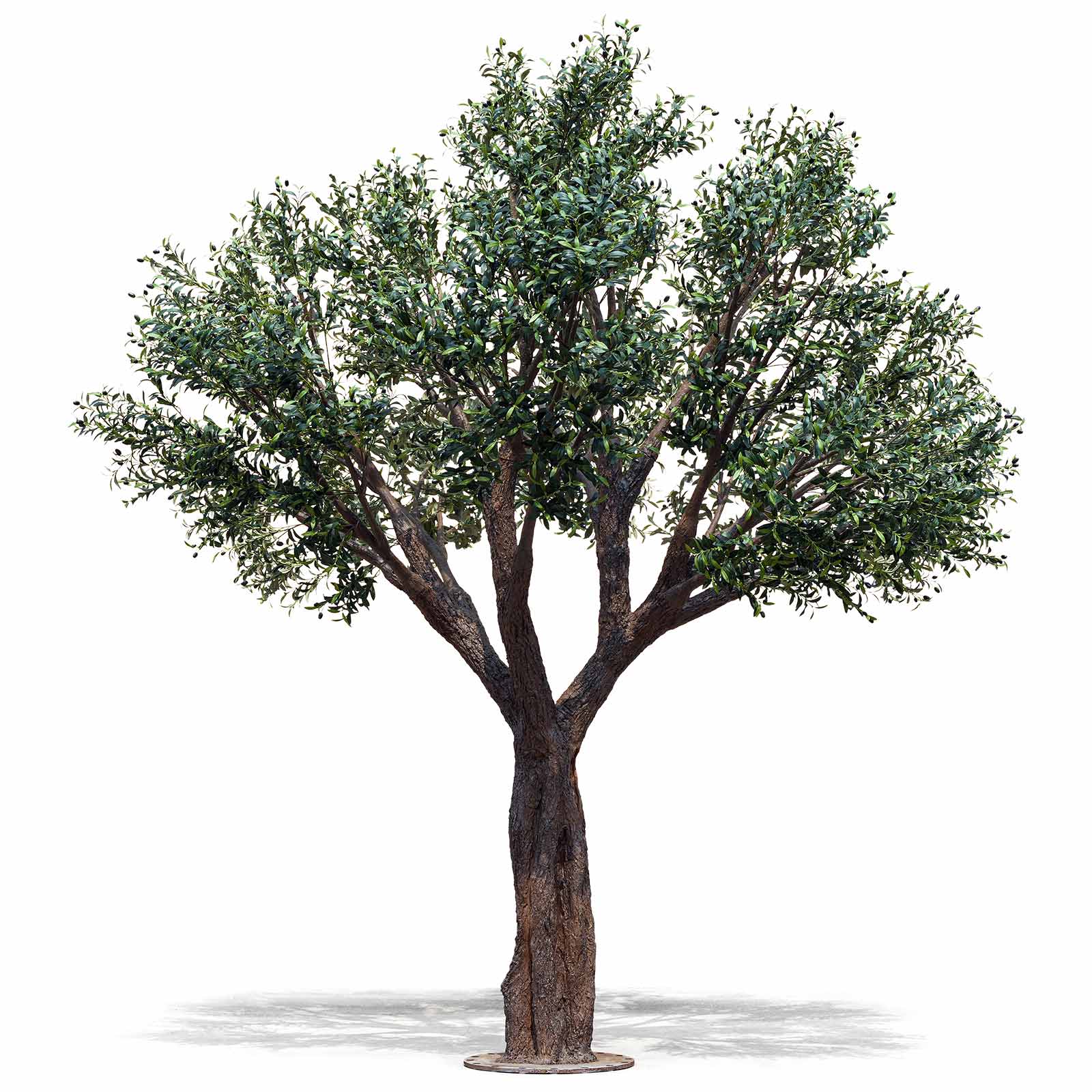 10.8ft_Faux_Olive_Tree