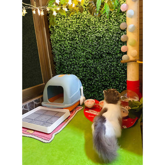 Artigwall 3D Green Wall used in small space for pets