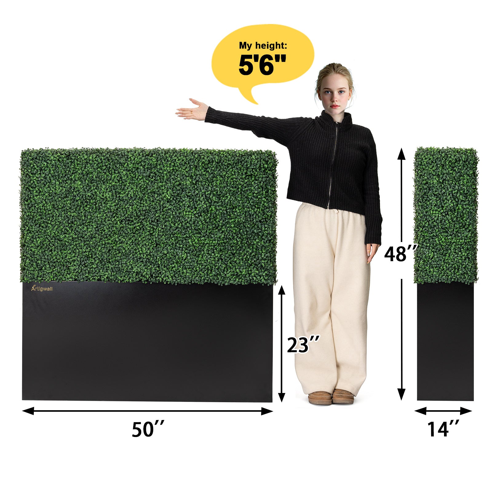 Dimensions_of_the_50_Faux_Boxwood_Hedge_Wall_by_Artigwall