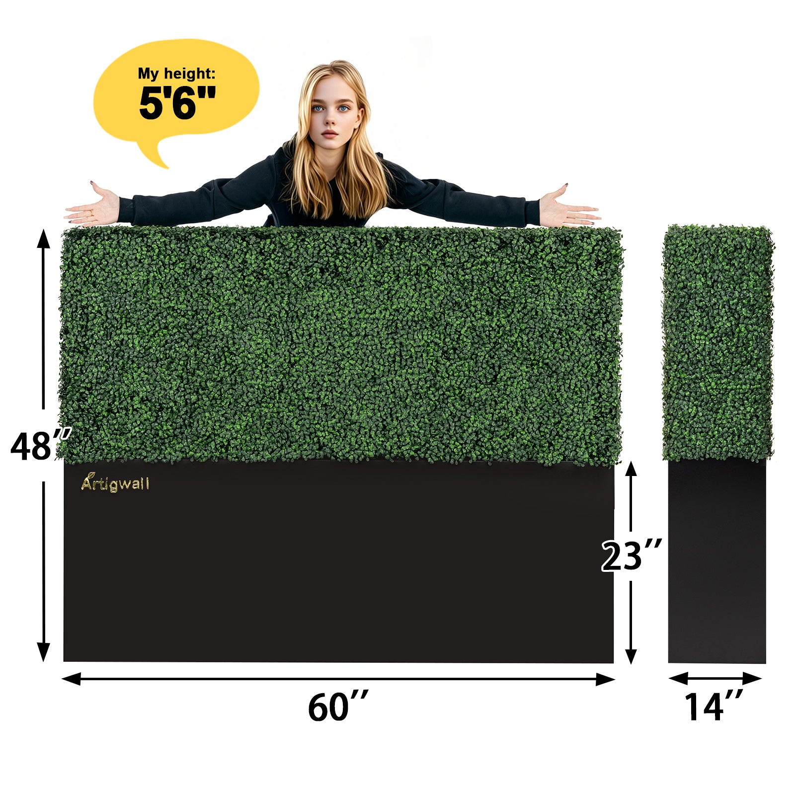 Dimensions_of_the_60_Faux_Boxwood_Hedge_Wall_by_Artigwall