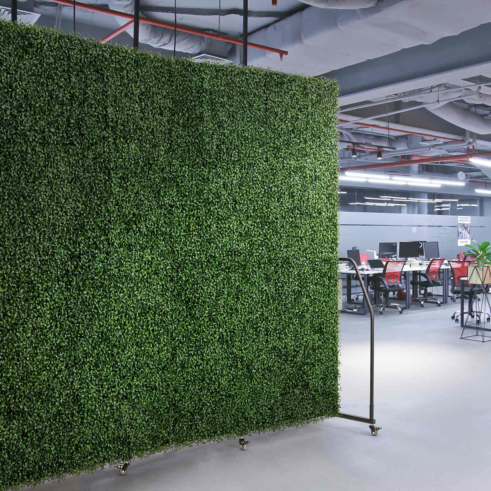 Folding Boxwood Backdrop Room Divider, Portable Double-Sided Privacy Screen