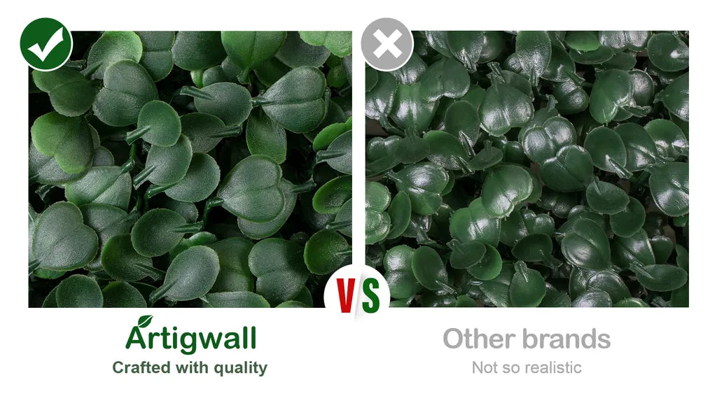 hedge wall boxwood compare
