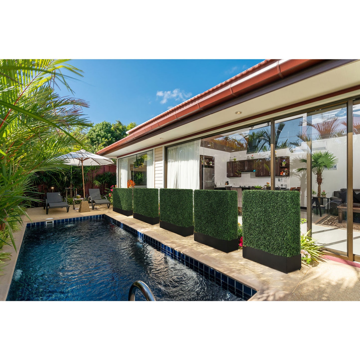 artificial_privacy_hedge_walls_beside_a_pool