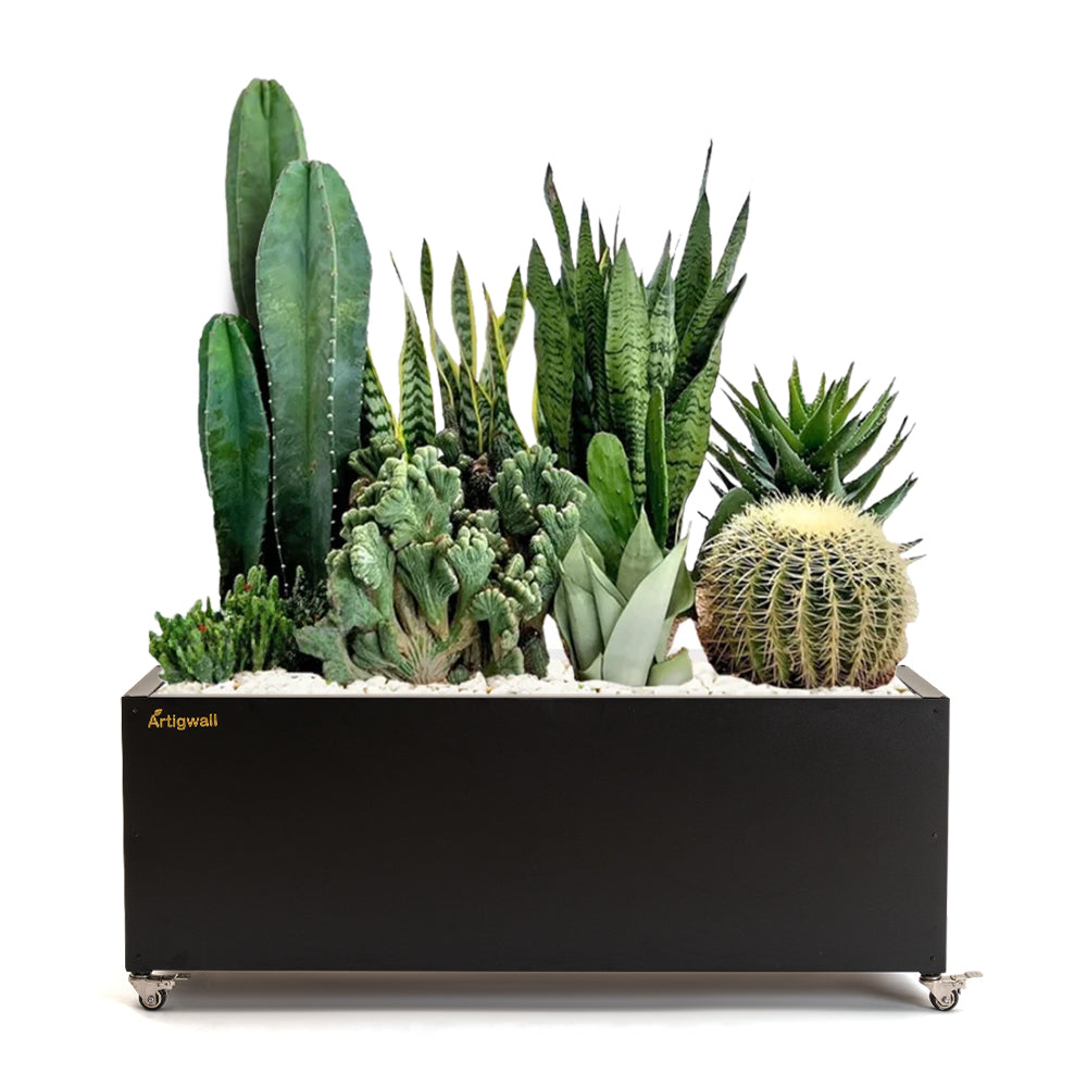 black_stainless_steel_planter_box_for_green_plants