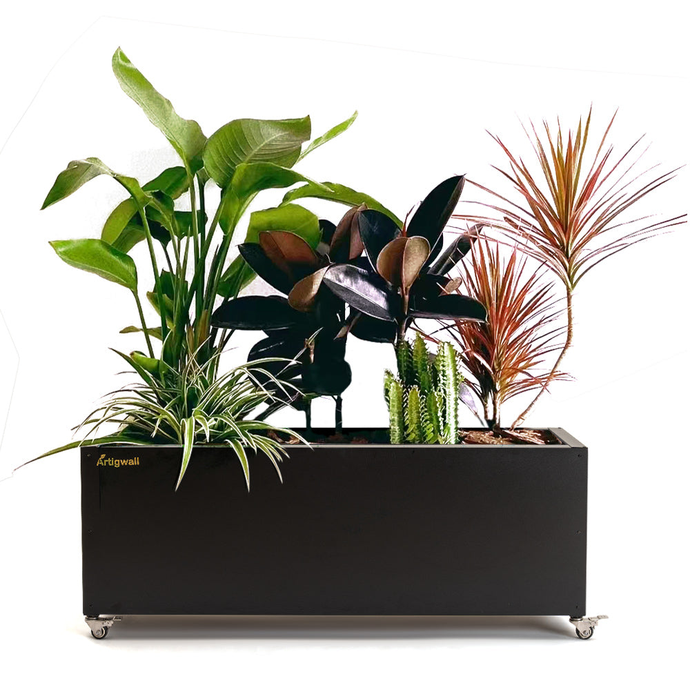 black_stainless_steel_planter_box_for_shrubs