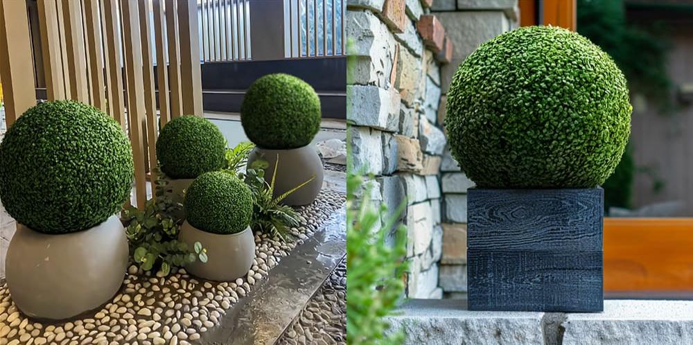 preserved_boxwood_topiary_balls