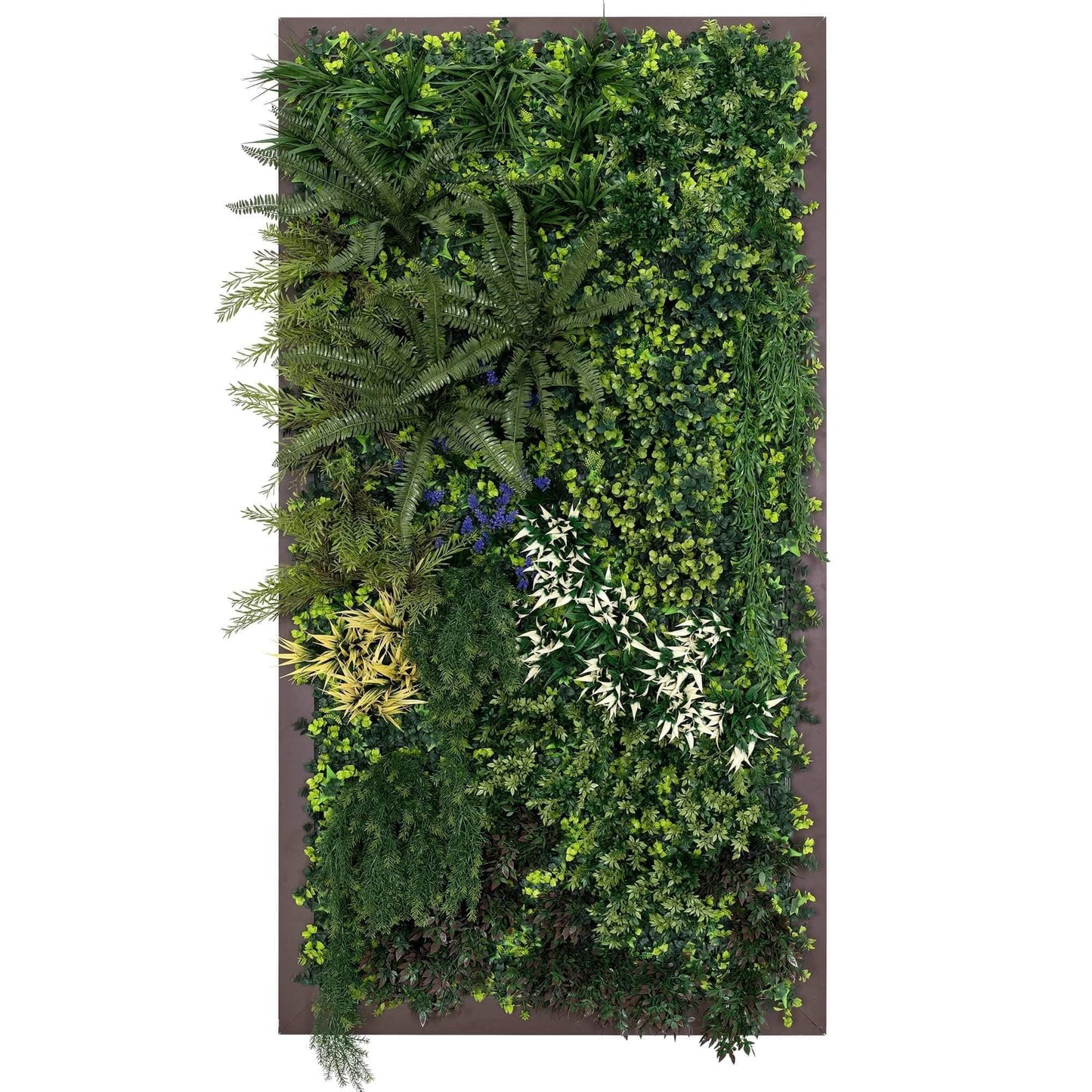 Artigwall® Classic Plant Wall