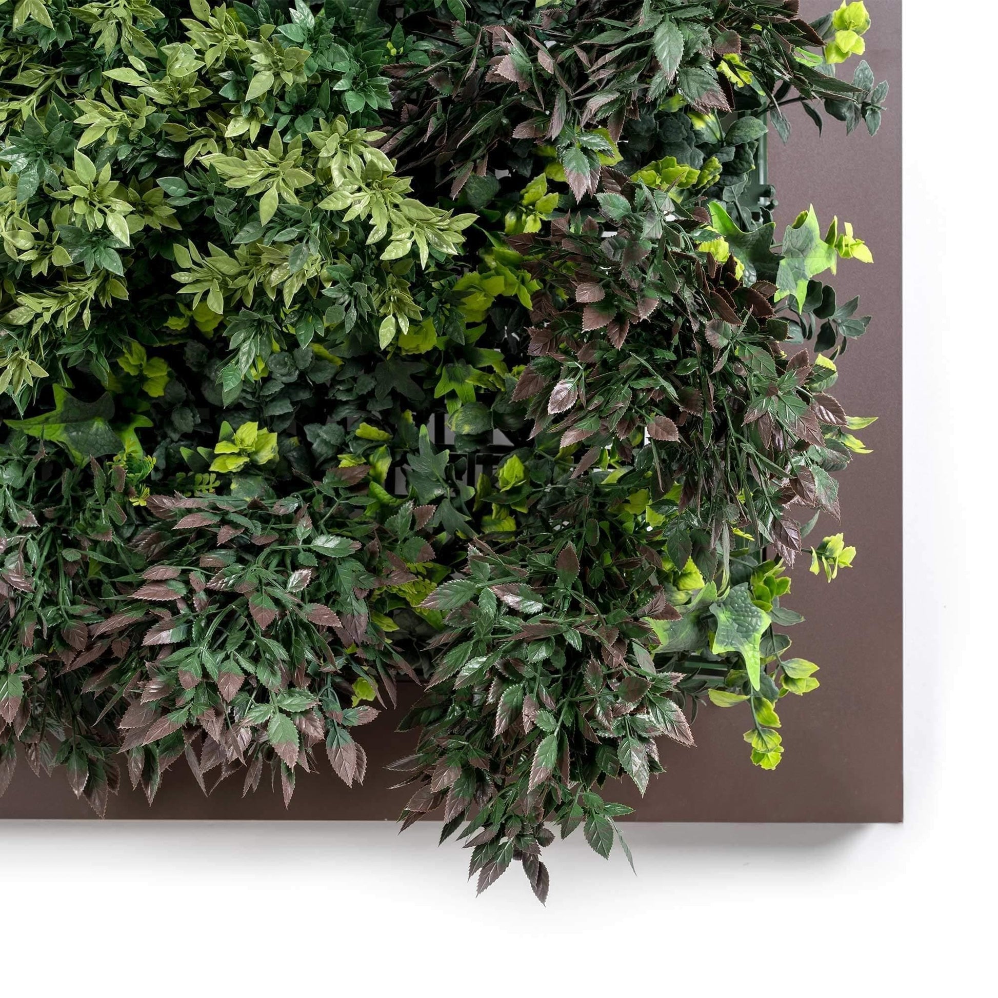 artificial plant wall with frame detail