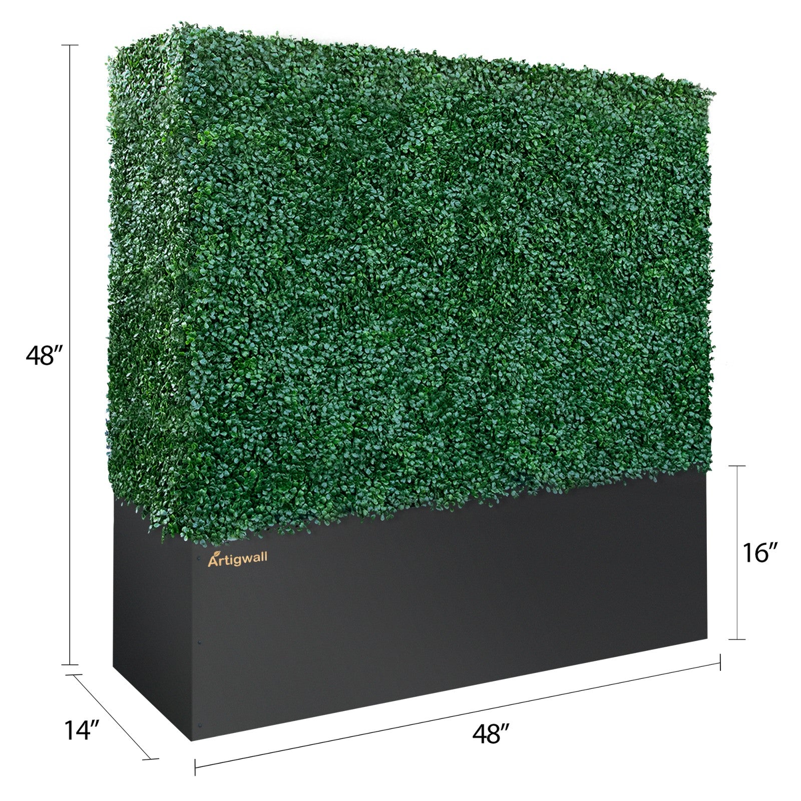48 inches hedge wall