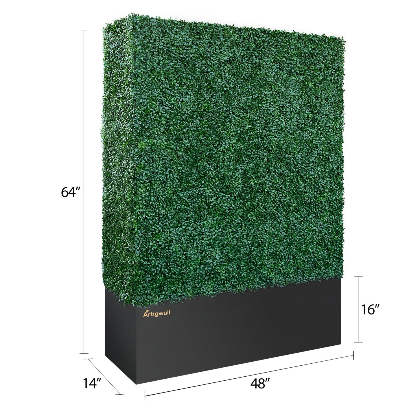 64 inches hedge wall